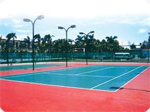 運(yùn)動(dòng)場(chǎng)地坪漆